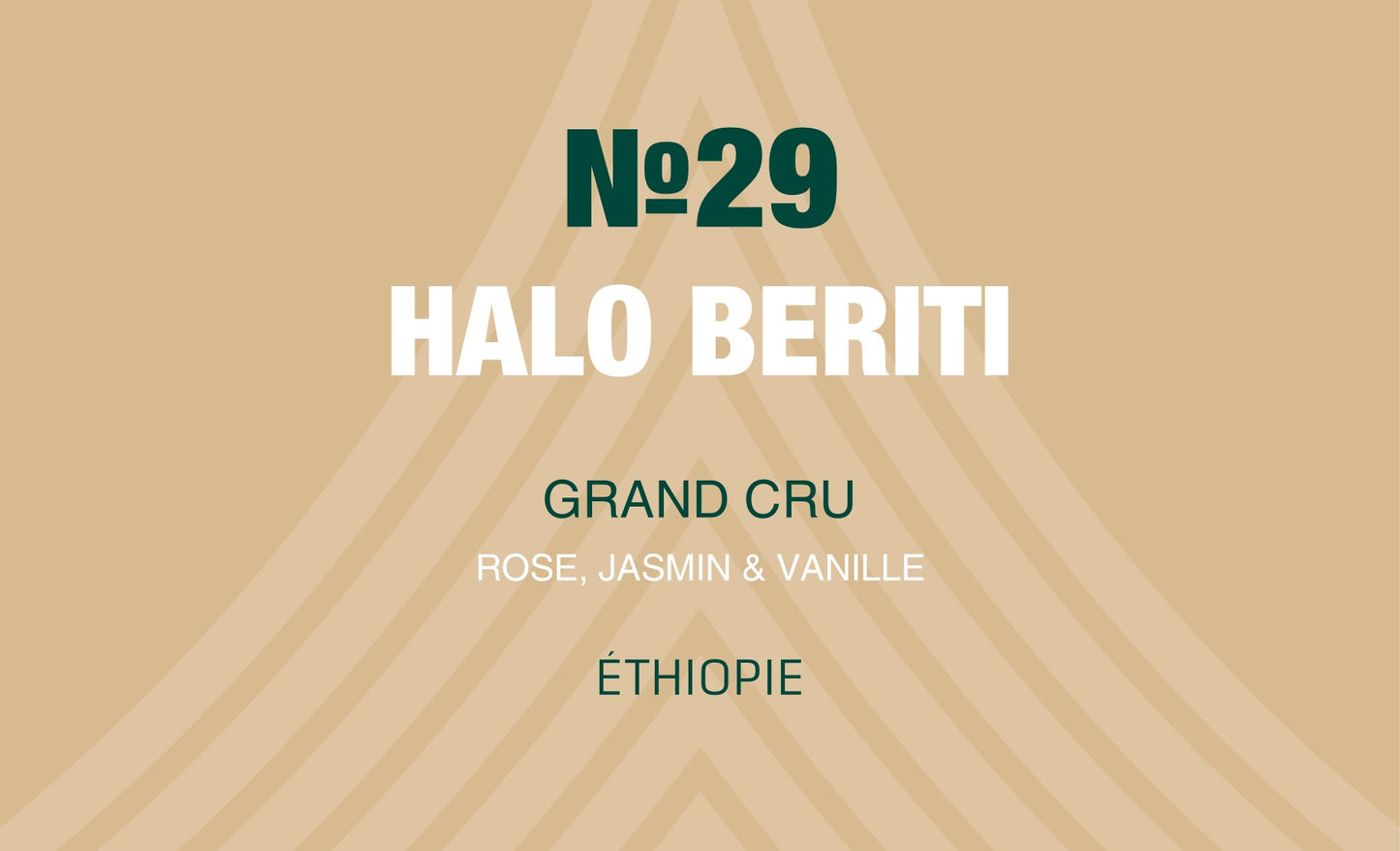N°29 - Halo Beriti - Éthiopie