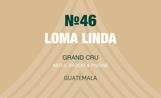 N°46 - Loma Linda - Guatemala