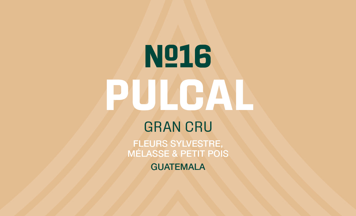 N°16 - Pulcal - Guatemala