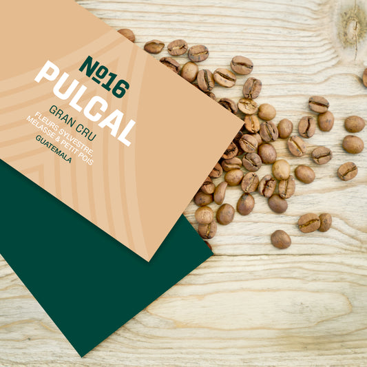No. 16 - Pulcal - Guatemala