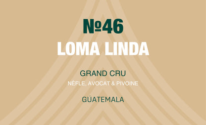 N°46 - Loma Linda - Guatemala