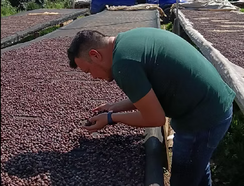 N°57 - Huehuetepan - Mexique