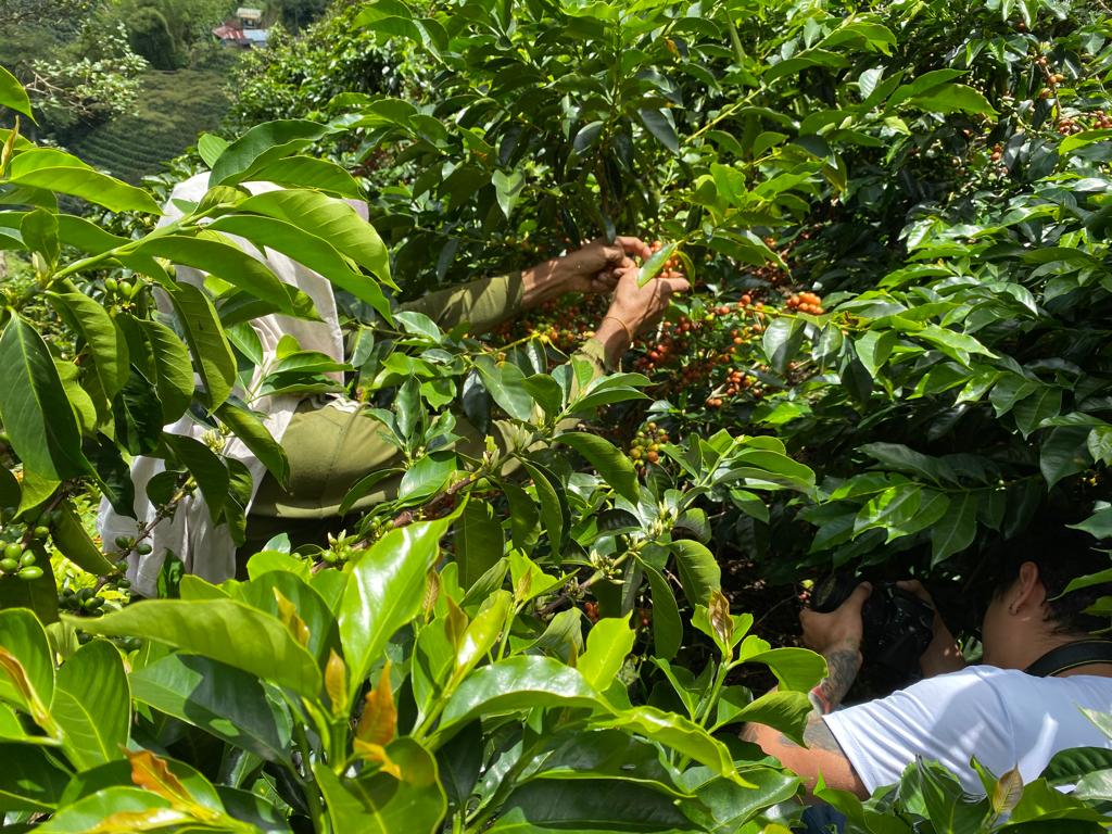 N°56 – Diego Horta – Colombie