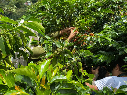 N°56 – Diego Horta – Colombie