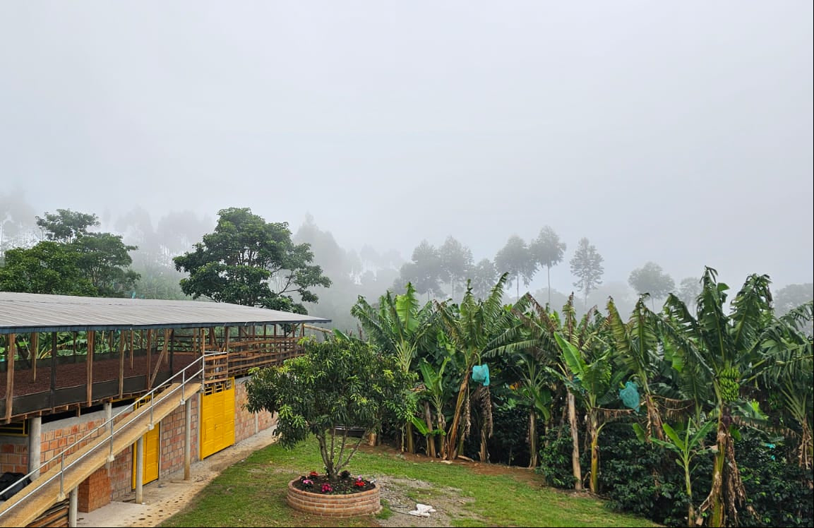 N°63 - Las Brisas - Colombie