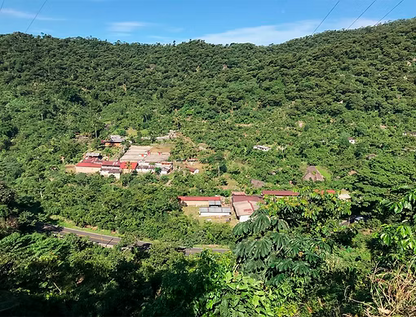 N°48 - Monte Perla - Mexique