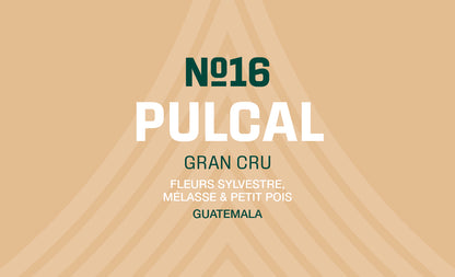 N°16 - Pulcal - Guatemala